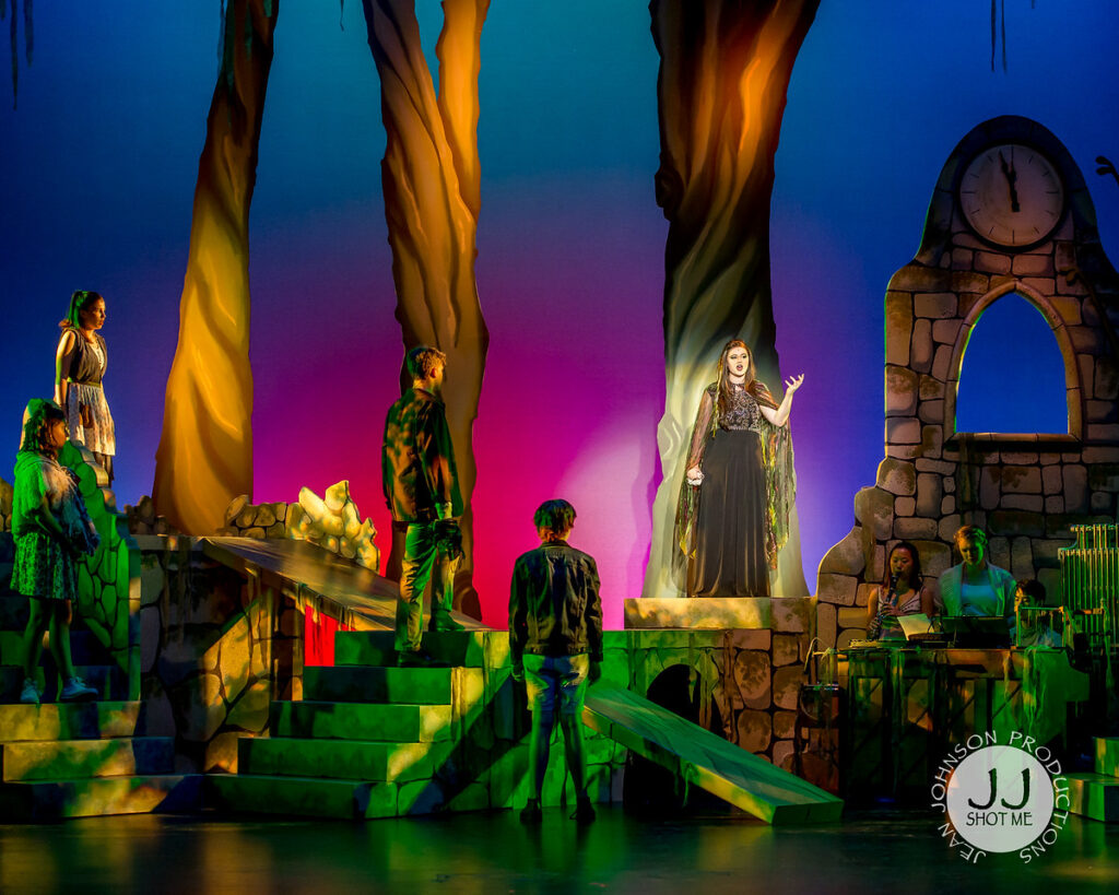 INTO THE WOODS